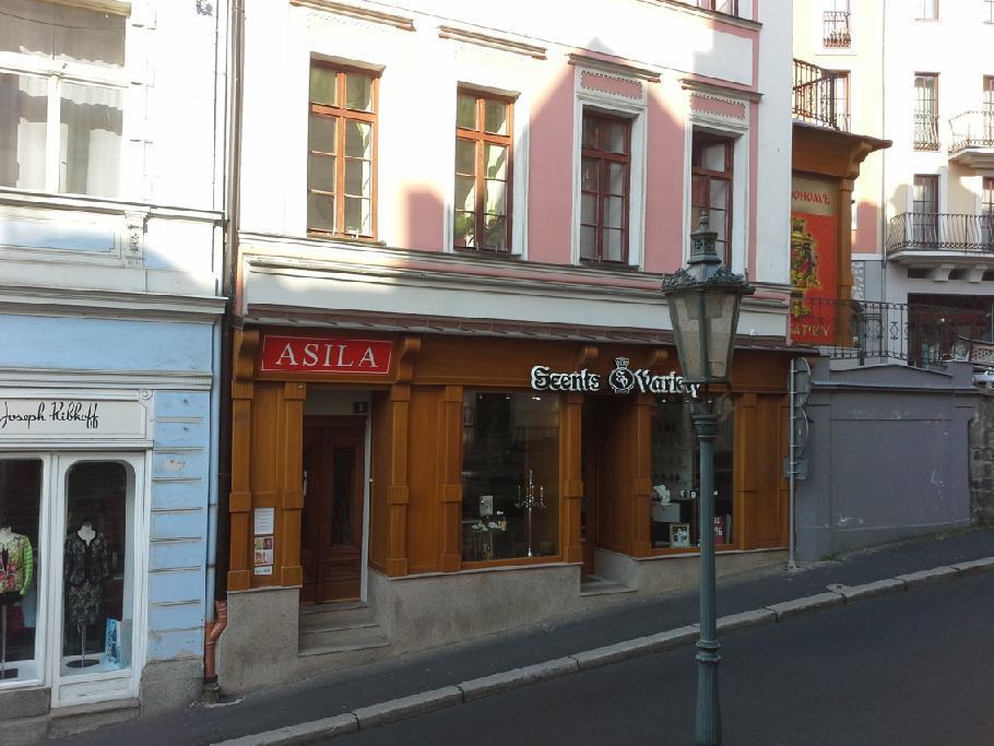 Asila Hotel Karlovy Vary Ngoại thất bức ảnh